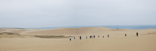 「馬の背」の風景－少し強い風が吹いています