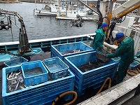 荷揚げの模様
