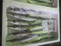 カマス