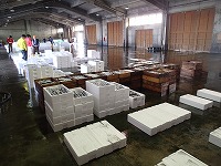 市場の入荷状況