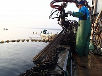 網起こし
