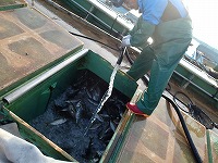 魚艙での保管