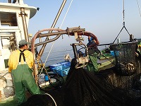 水揚げは動力を使用