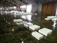 酒津~泊の水揚状況