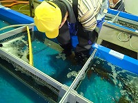 測定の様子