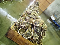賀露のイワガキタワー