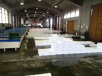 賀露の水揚げ状況