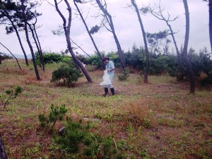 皆生温泉観光株式会社の活動の様子