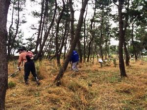 富山神通ライオンズクラブ、米子中央ライオンズクラブ、米子城山ライオンズクラブの活動の様子
