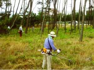 富益地区の草刈り機で草を刈っている様子