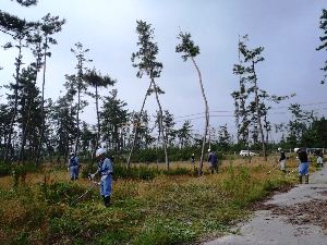社団法人鳥取県造園建設業協会西部支部の活動の様子
