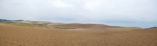 「馬の背」の風景－雨に濡れた砂が広がっています