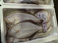 ムシガレイ