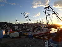 境港の小型底びき網漁船