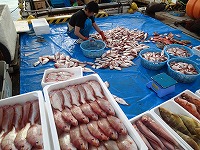 仕立て作業