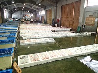 賀露の小型底びき網の水揚状況