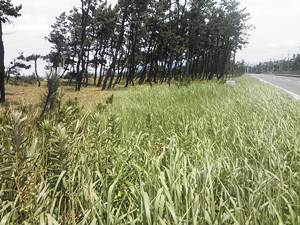 活動前の現場の写真