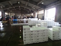 賀露～泊の出荷状況