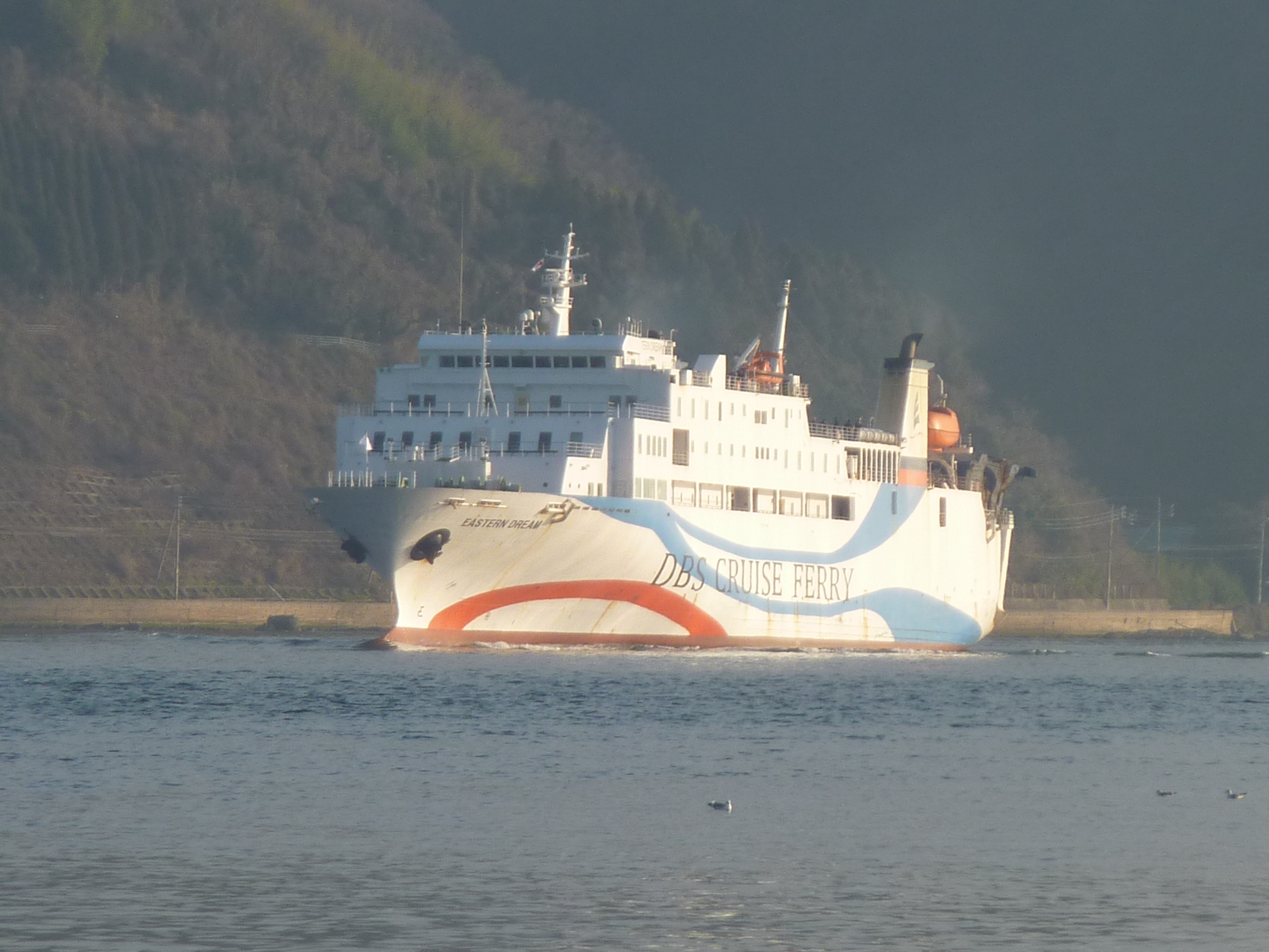 日韓定期貨客船「DBSクルーズフェリー」