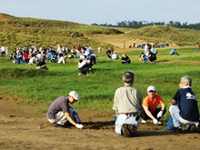 平成26年度鳥取砂丘夏季ボランティア除草2