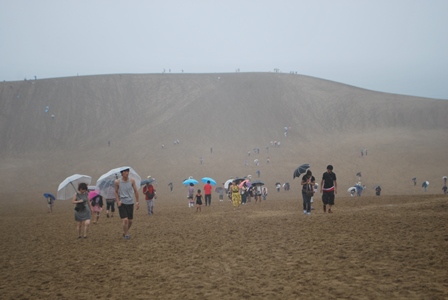 雨の砂丘