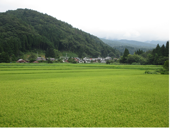 吉原の風景