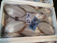 ムシガレイ