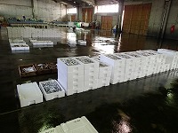 酒津～泊