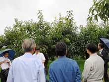 高姫柿団地2