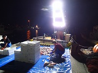 仕立て作業