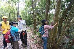 樹名板2