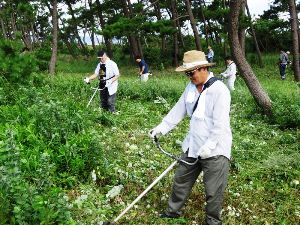 米子ケヤキ通り振興会の活動の様子
