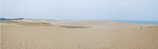 「馬の背」の風景ー爽やかな砂丘の朝です