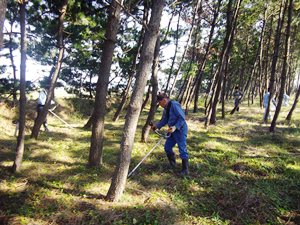 株式会社平田組の活動の様子