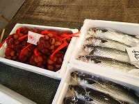 ボラと栗？