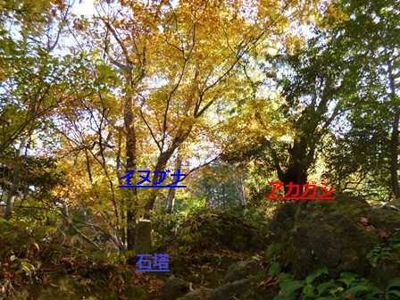 石塔付近