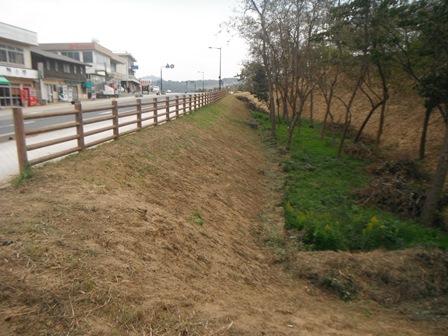 県道法面