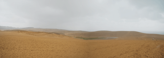 今朝の砂丘は朝から荒れた天気になっています