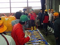 セリ人が手に持っている蟹が最高値の20万円