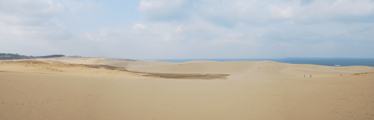 「馬の背」の風景－やや強い風が吹いています