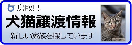 犬 猫の譲渡情報 とりネット 鳥取県公式サイト