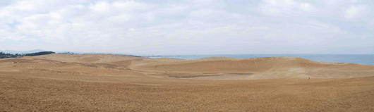 今朝も空気が澄んで大山が綺麗に見えています