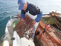 小型底びき網の試験操業の様子