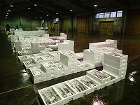 酒津~泊の水揚げ状況