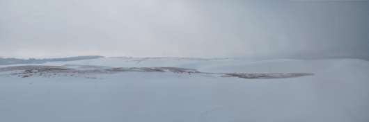 砂丘内は湿った雪が一面積もっています