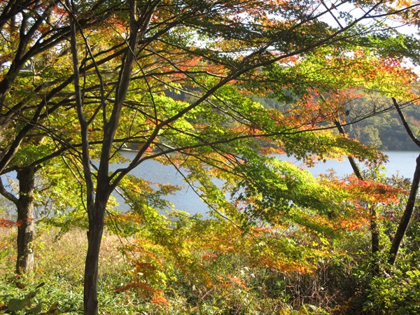 鵜の池