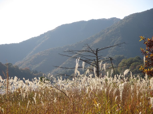 鵜の池