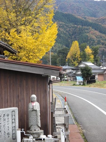 銀杏