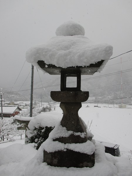 雪景色