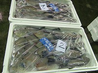 ウマヅラハギ